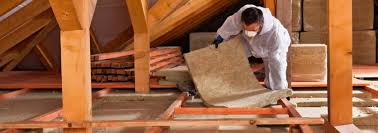 Best Eco-Friendly or Green Insulation Solutions  in Wayland, MI